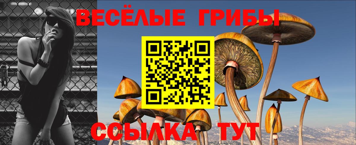 Галлюциногенные грибы Cubensis Канаш